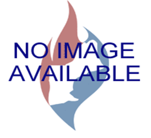 Carlin 66795S Nozzle Line Heater