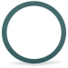 General Filters 3081 Gasket, For Use With: Model 77B and 1A-25B Oil Filters, FKM
